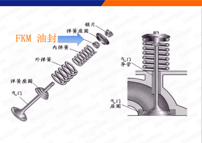 气门油封.jpg