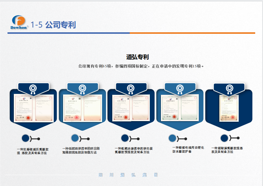公司专利-中文.jpg